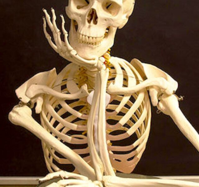 cropped-skeleton.jpeg