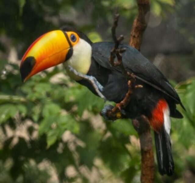 salt lake city,salt lake city utah,living in salt lake city,things to do in salt lake city,moving to salt lake city,visit salt lake city,what to do in salt lake city,salt lake city travel guide,salt lake city tour,salt lake city hikes,traveling to salt lake city,fun things to do in salt lake city,best things to do in salt lake city,where to buy in salt lake city utah,cost of living in salt lake city utah,living in salt lake city pros and cons