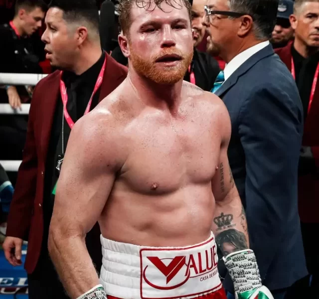 Canelo, canelo Alvarez record, canelo alvarez next fight, canelo alvarez age, canelo boxer, alvarez, canelo record, el canelo, canelo fight, canelo alvarez training