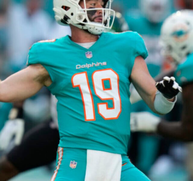 Dolphins, tyres hill, Titans, titans vs dolphins, will Levis, tennessee titans, dolphins vs titans, Miami dolphins tickets, nil team, American football, football, sports, cowboys, broncos