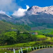 Munnar travel guide, Best places to visit in Munnar, Munnar history and culture, Things to do in Munnar Kerala, Munnar tourist attractions, Munnar tea plantations, Munnar wildlife and trekking, Munnar food specialties, Kerala hill stations tourism, Munnar travel tips
