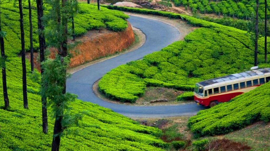 Munnar travel guide, Best places to visit in Munnar, Munnar history and culture, Things to do in Munnar Kerala, Munnar tourist attractions, Munnar tea plantations, Munnar wildlife and trekking, Munnar food specialties, Kerala hill stations tourism, Munnar travel tips