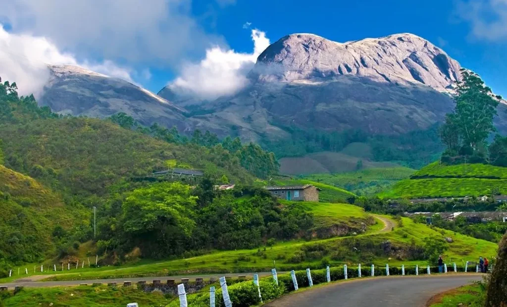 Munnar travel guide, Best places to visit in Munnar, Munnar history and culture, Things to do in Munnar Kerala, Munnar tourist attractions, Munnar tea plantations, Munnar wildlife and trekking, Munnar food specialties, Kerala hill stations tourism, Munnar travel tips