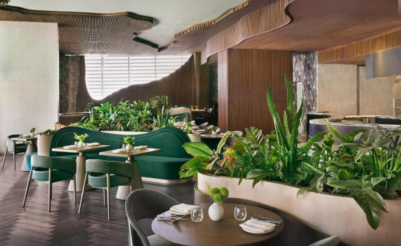 Kimpton Riyadh, Kimpton hotel in Saudi Arabia, Luxury hotels in Riyadh, Best hotels in KAFD, Riyadh staycation, 5-star hotels in Riyadh, Luxury staycation in Saudi Arabia, Kimpton KAFD Riyadh