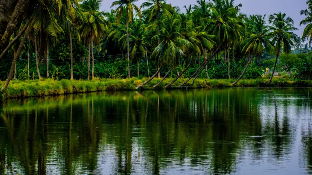 Dindi travel guide, Dindi Andhra Pradesh tourism, Dindi houseboats, Konaseema backwaters, Places to visit near Dindi, Dindi budget trip, Dindi resorts, Dindi food guide, Dindi history and culture, Best time to visit Dindi, dindi