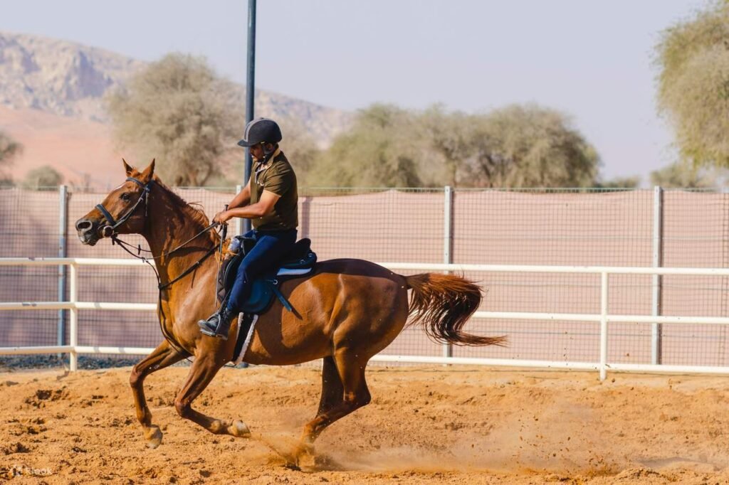 horse riding in Delhi, best horse riding clubs in Delhi, horse riding schools in New Delhi, horse riding lessons Delhi, Delhi equestrian clubs, polo training Delhi, horse riding beginners Delhi, horse riding in new delhi