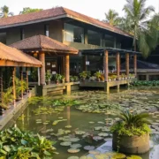 Dindi travel guide, Dindi Andhra Pradesh tourism, Dindi houseboats, Konaseema backwaters, Places to visit near Dindi, Dindi budget trip, Dindi resorts, Dindi food guide, Dindi history and culture, Best time to visit Dindi, dindi