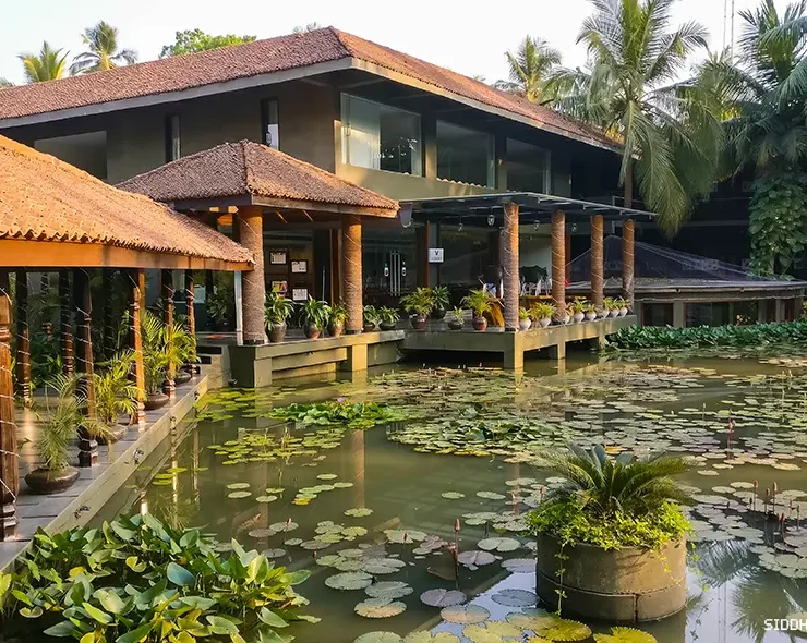 Dindi travel guide, Dindi Andhra Pradesh tourism, Dindi houseboats, Konaseema backwaters, Places to visit near Dindi, Dindi budget trip, Dindi resorts, Dindi food guide, Dindi history and culture, Best time to visit Dindi, dindi